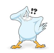 Pollo sin cabeza